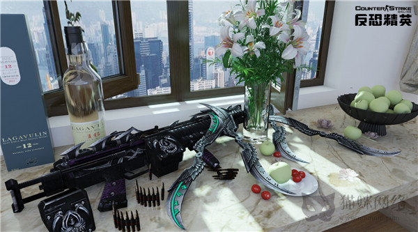 图片[11]-反恐精英CSOL实际武器效果图和真人cosplay及动漫人物-猫咪网络