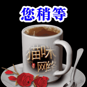 图片[12]-猫咪网络表情包gif-猫咪网络