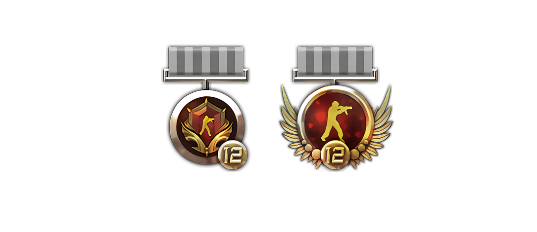 图片[10]-反恐精英CSOL12季度悬赏精英图片欣赏-猫咪网络