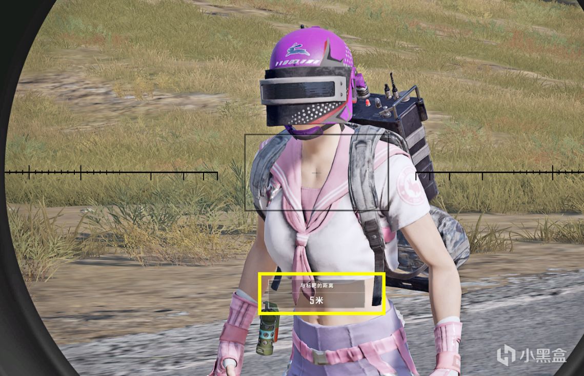 图片[2]-绝地求生PUBG什么才是闪光弹最有效规避方式-猫咪网络