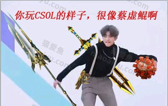 图片[19]-CSOL恶搞图片表情包-猫咪网络