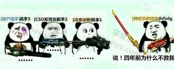 图片[13]-CSOL恶搞图片表情包-猫咪网络