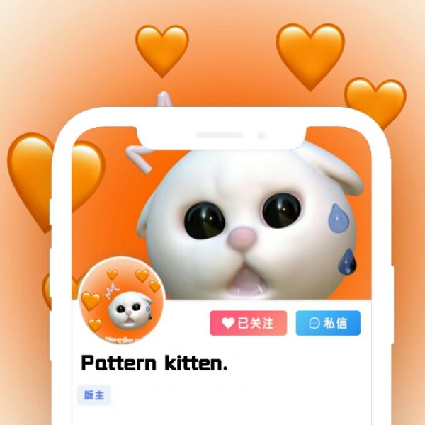 猫咪网络/版头/摆烂小猫.-猫咪网络