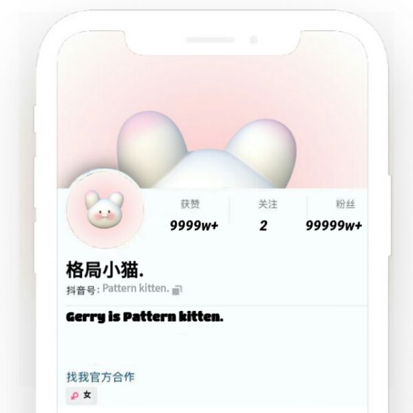 版头预览/格局小猫.-猫咪网络