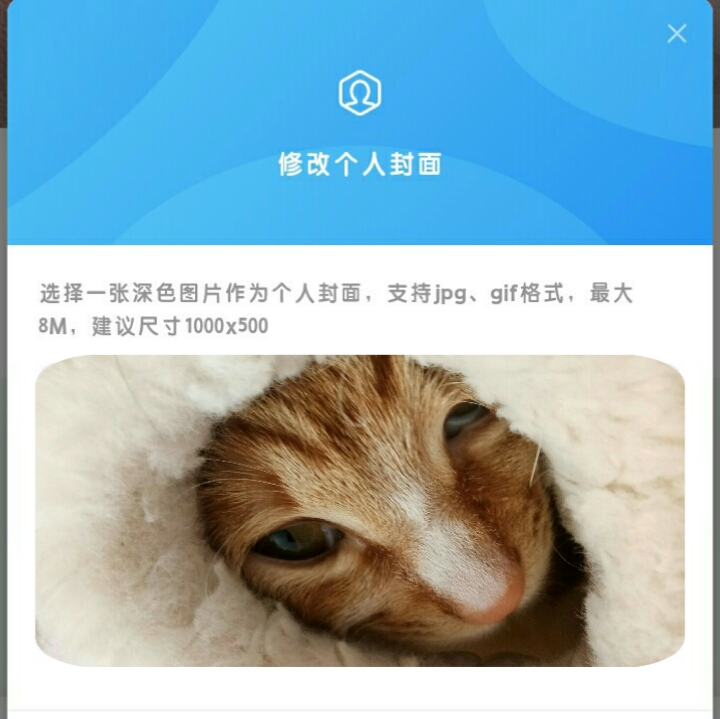 猫咪网络/背景预览/没流量-猫咪网络
