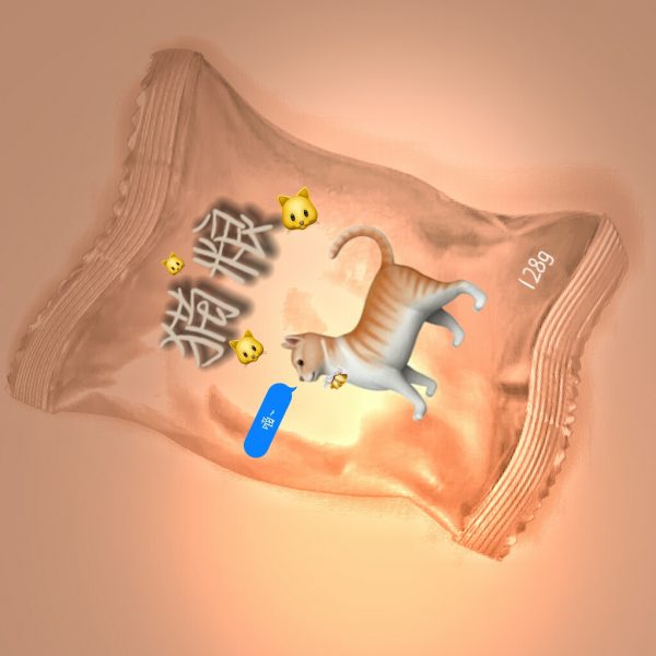 结婚有什么好的？！不就是为了淦情人节/.-猫咪网络