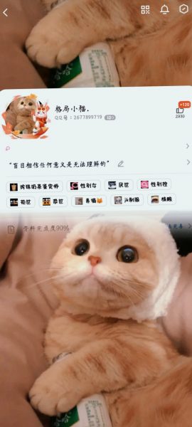 我更新了 这一次我一定要把属于我的粉丝搞回来/.-猫咪网络