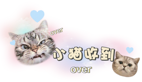 不知道平行世界那边是不是很温暖/.-猫咪网络