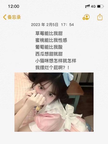 “温柔了半年  却发现自己很傻”-猫咪网络