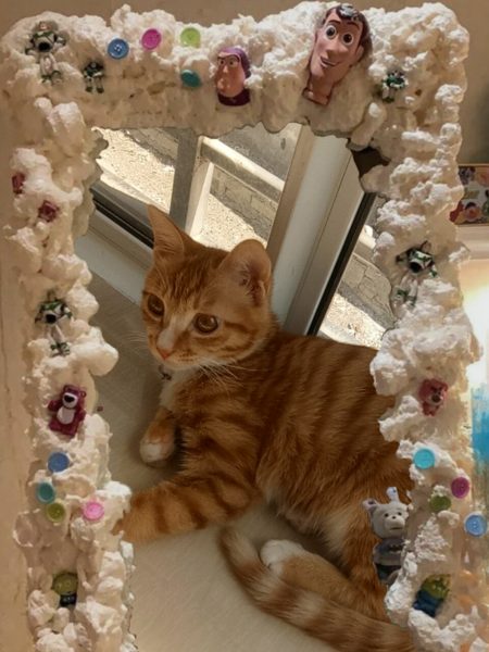 我可以讨厌浪漫 但是不可以打脸/.-猫咪网络