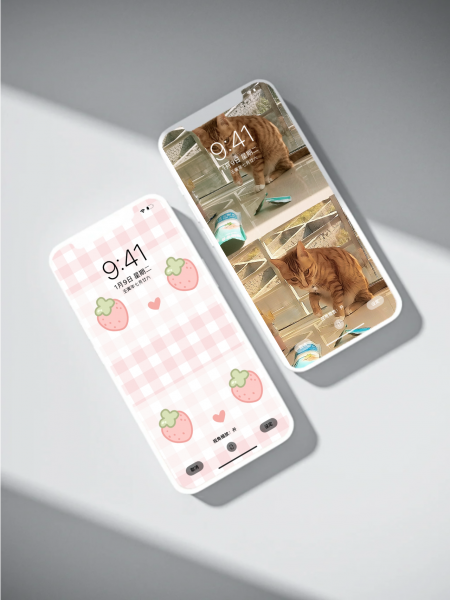 z壁纸预览  很好很好-猫咪网络