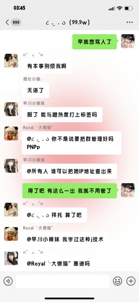 聊天记录P图/摆烂小猫-猫咪网络