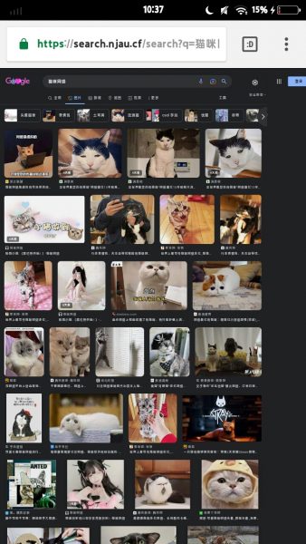 谷歌多好  里面有我呢-猫咪网络