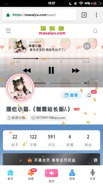 猫咪网络更新日志（开玩笑）-猫咪网络