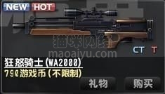 图片[3]-CSOL狂怒骑士WA2000最早发布时间-猫咪网络