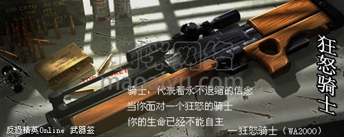 图片[5]-CSOL狂怒骑士WA2000最早发布时间-猫咪网络