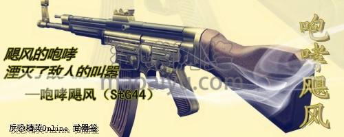 图片[5]-CSOL咆哮飓风StG44最早发布时间-猫咪网络