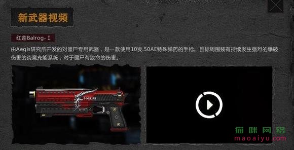 图片[2]-测试-猫咪网络