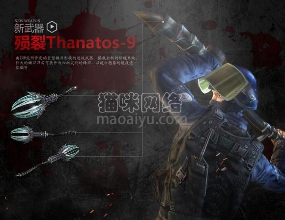 图片[3]-测试-猫咪网络