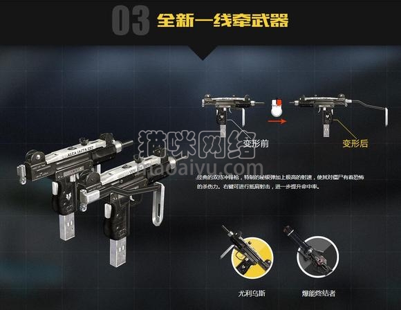 图片[2]-测试-猫咪网络