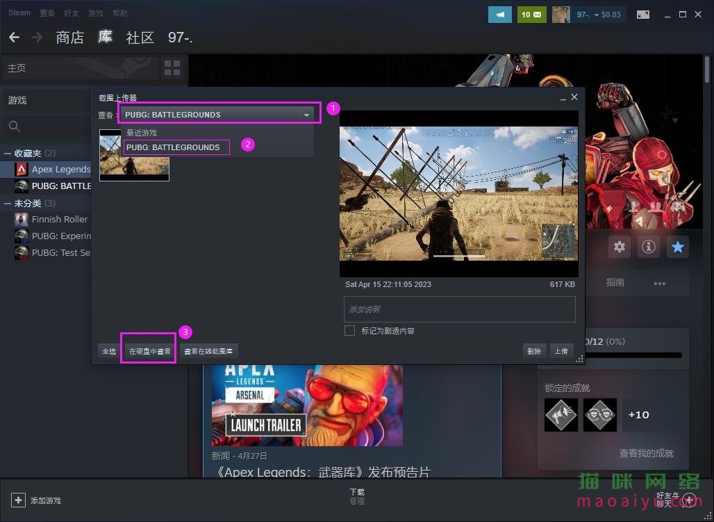 图片[2]-绝地求生PUBG查看游戏截图保存文件-猫咪网络