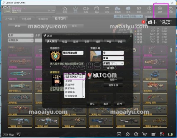 CSOL如何选择和修改伤害字体-猫咪网络