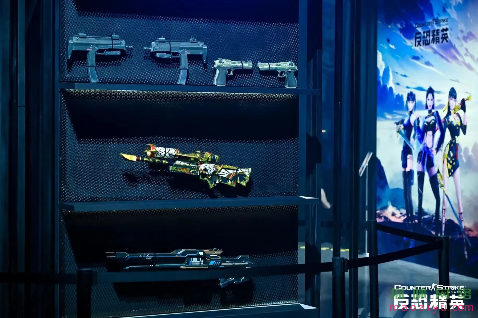 CSOL虎王实景照A5E