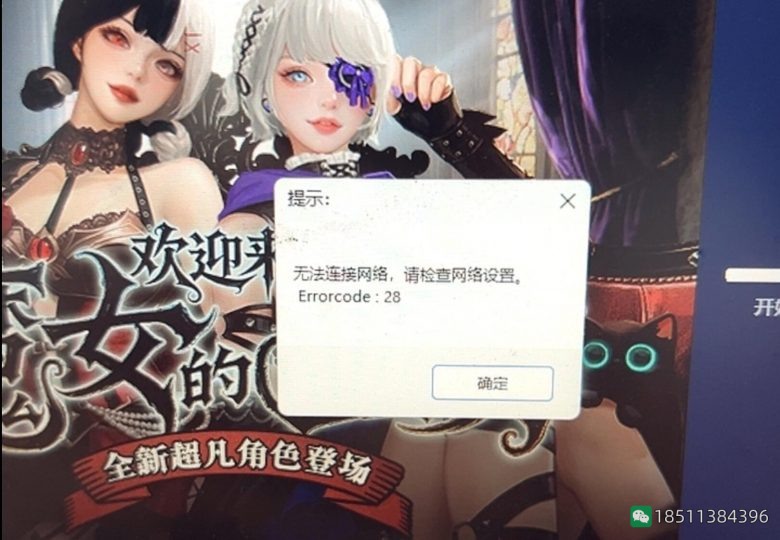 CSOL提示“无法连接网络，请检查网络设置。Errorcode:28”解决办法-猫咪网络